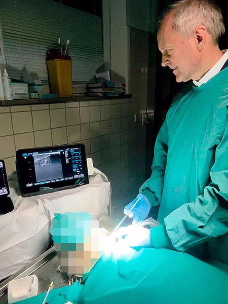 Ahlers - Injektion an der Leiche unter Ultraschallkontrolle verpixelt